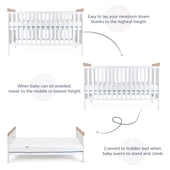 Cot Solid Wood bed with changing Unit Elegance Haddinton