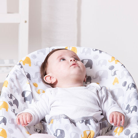 Bambino Bouncer Bounce Chair