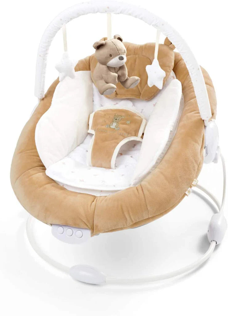 Brown Teddy Bear Bouncer