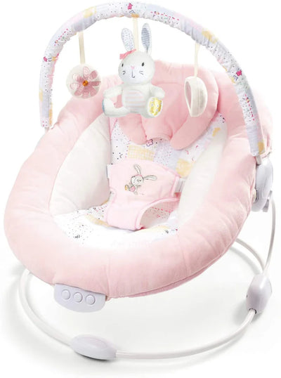 Spring Pink Flower Bouncer