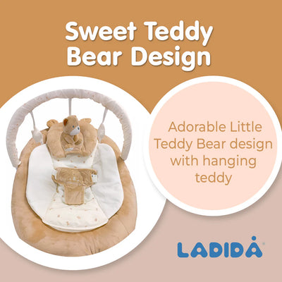 Brown Teddy Bear Bouncer