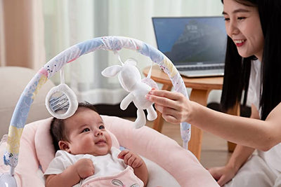 Spring Pink Flower Bouncer