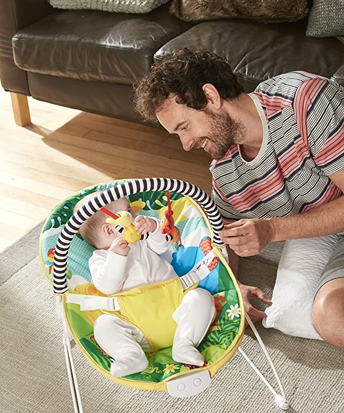 Safari Baby Bouncer