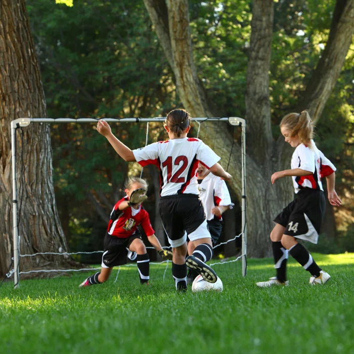 Soccer Goal Portable Folding Heavy Duty Nylon Net Black Silver Frame