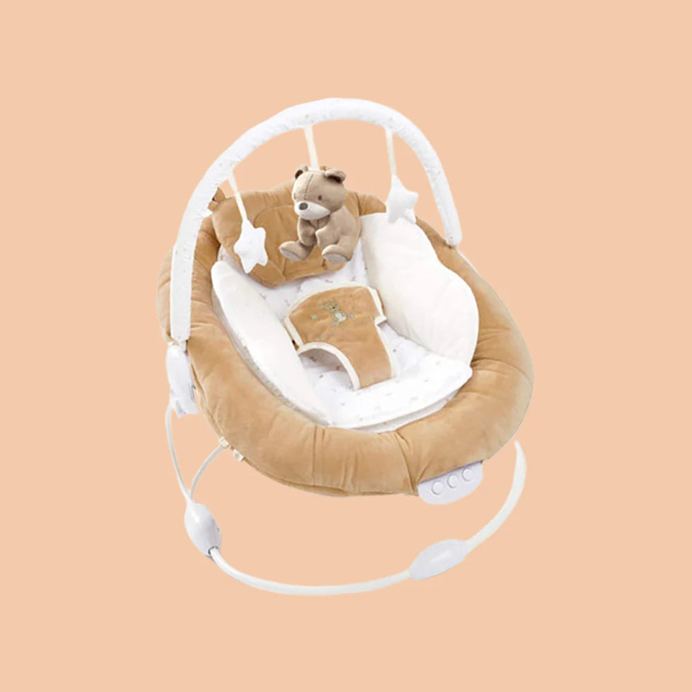 Brown Teddy Bear Bouncer